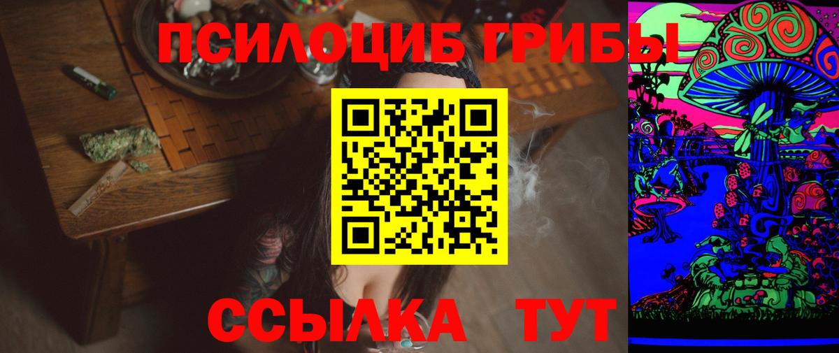 Галлюциногенные грибы GOLDEN TEACHER  Галлюциногенные грибы Psilocybine cubensis  Южно-Сахалинск  Вход с VPN 